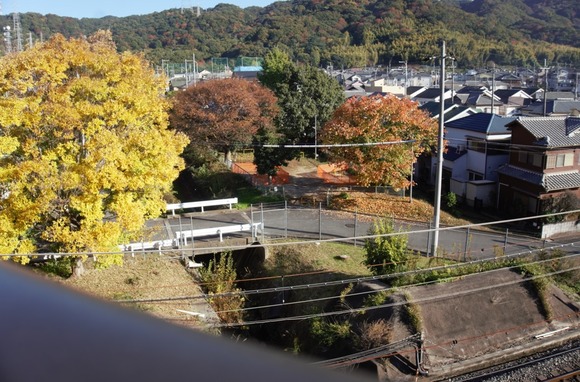 神宮寺ちびっこ広場 20251116-1