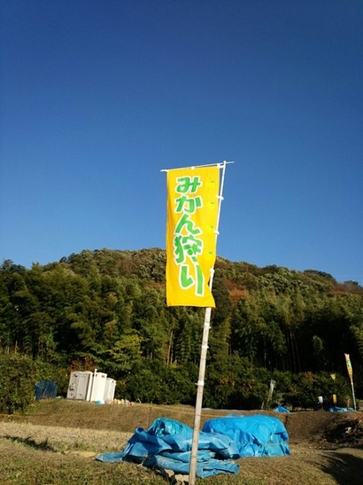 fc734142-s