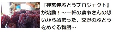 神宮寺ぶどうプロジェクト