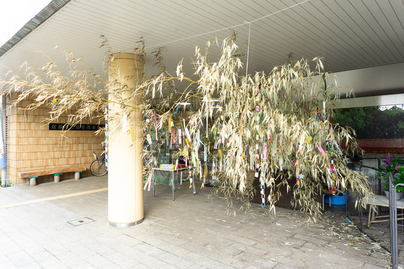 寝屋川公園 20250615-12