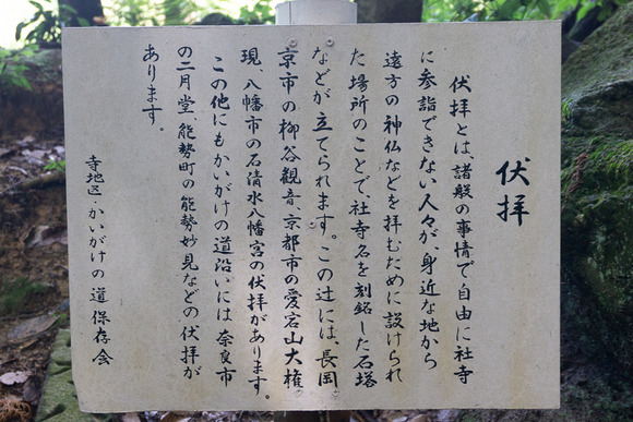 龍王山 2024062141