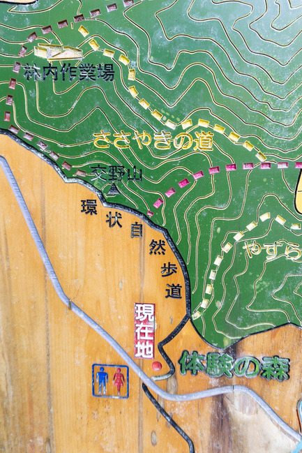 交野山 20250503-8