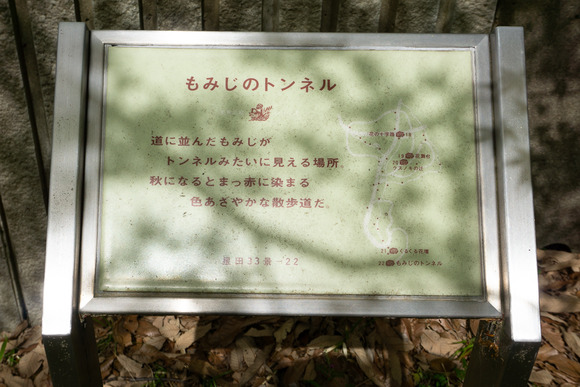 日高山の登山 202404176