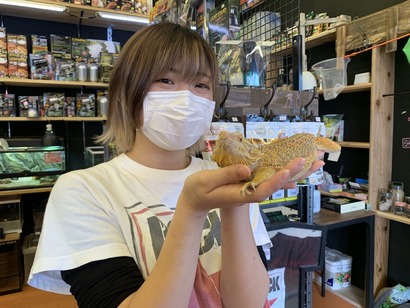 41BD54A3-50CC-4432-A031-6FA5A9075AA8_1_105_c