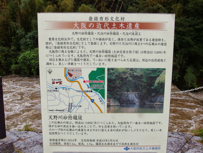 P8090635