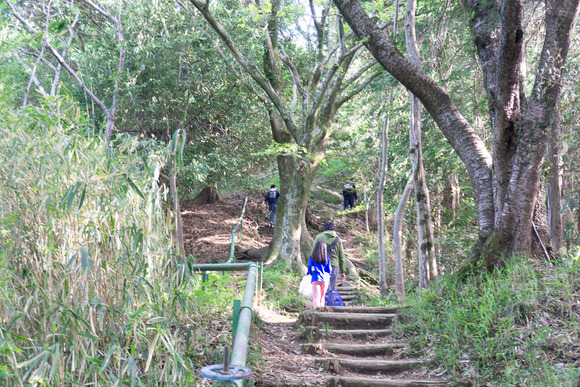交野山 20250503-12