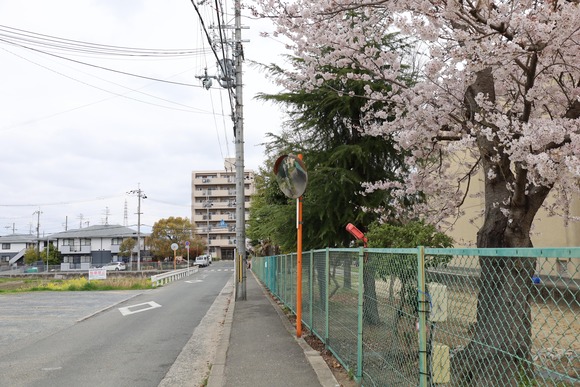 IMG_0432のコピー