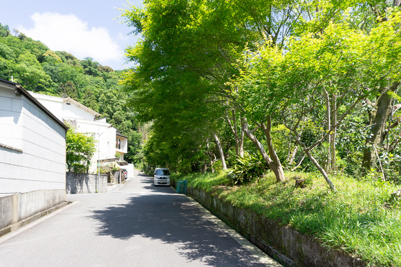 私市の用水路 2024052114