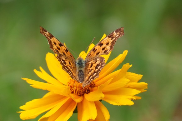 LINE_ALBUM_220616_47