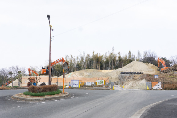 南星台の崖地 20250131-2