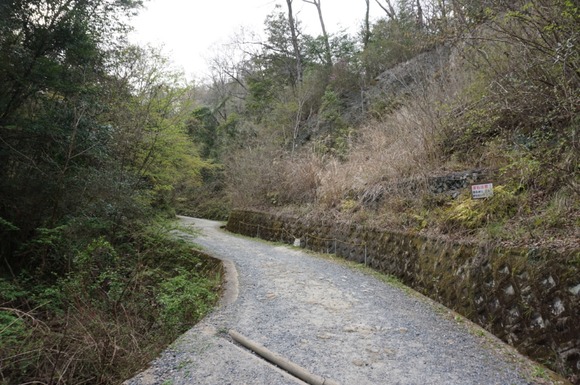 ほしだ園地 2024040926