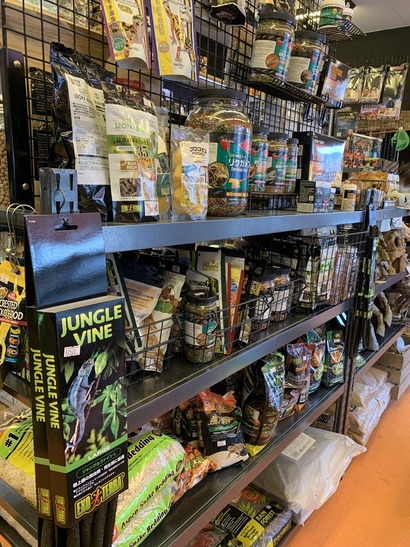 D65F8D35-5A2D-4E12-A2B0-5DC3AD449510_1_105_c