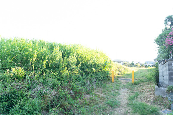 全権堂池 20240808-2
