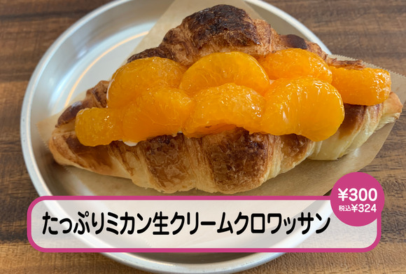 a_ミカン_アートボード 1