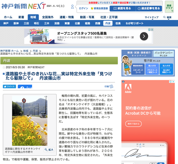 スクリーンショット 2021-06-12 0.39.40