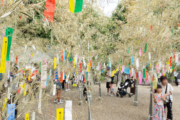機物神社 七夕 20250706-34