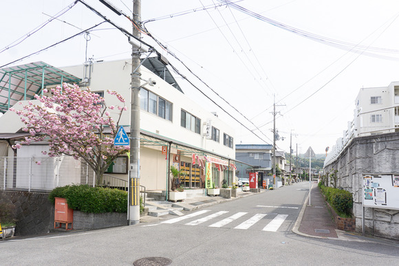 妙見坂自治会館 こいのぼり 20250418-2