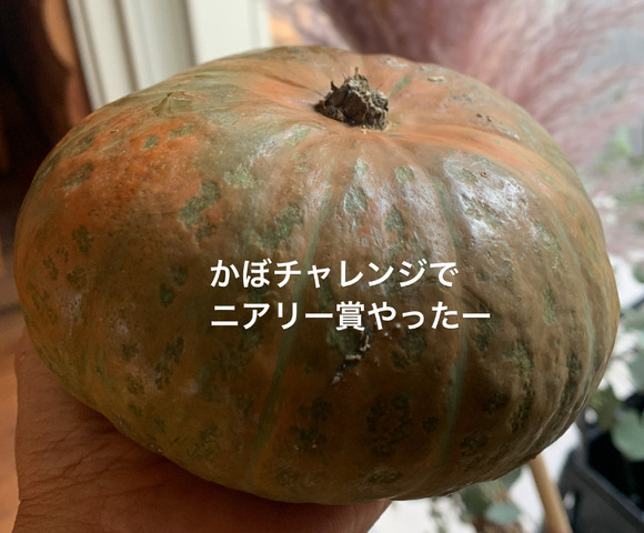 6AE67183-1E06-4AE6-931A-173161D44215