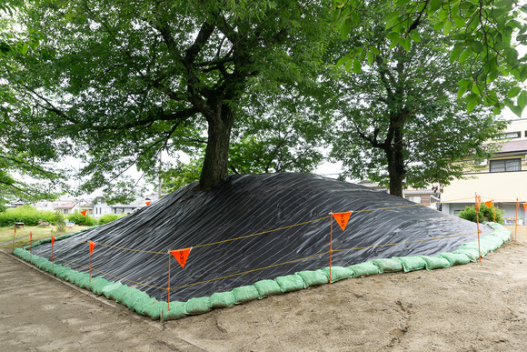 星の森ちびっこ広場 202406242-2