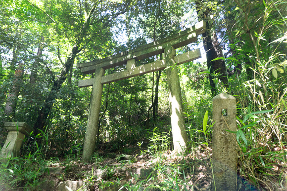 龍王山 2024062171