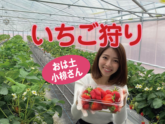 a_バナー_アートボード 1