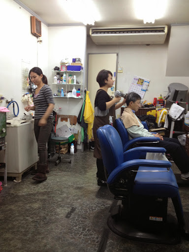 photo_8