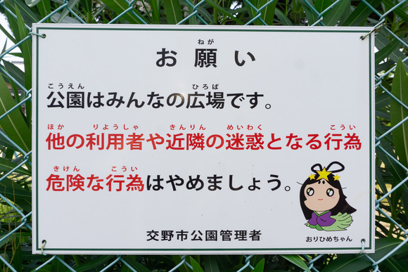 天野が原東公園　2024061914