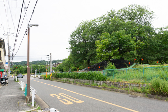 星の森ちびっこ広場 202406249