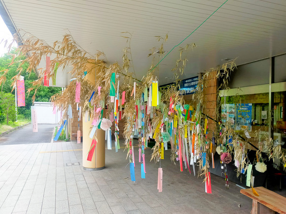 寝屋川公園 七夕 20240625-7