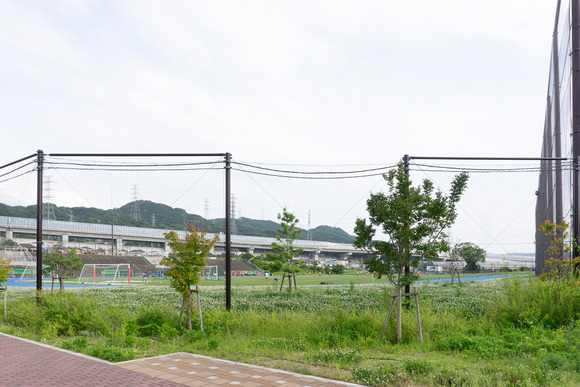 関西創価学園の総合グラウンドが6月29日(土)に近隣開放されるみたい