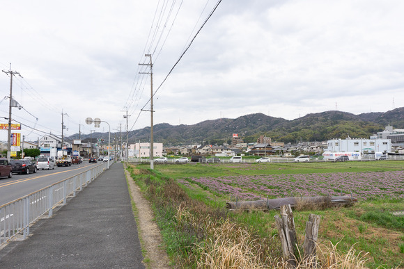 四中横の田んぼ 202404072
