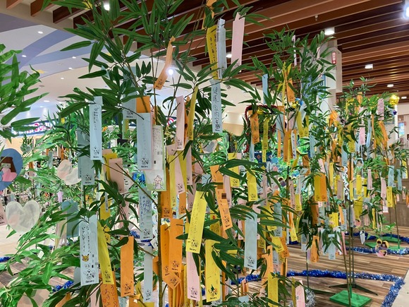 フレンドタウン交野 202407022