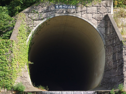 P8116795