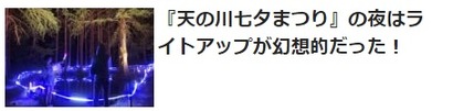 去年のようすはこんな感じ