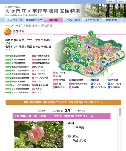 スクリーンショット 2019-02-17 9.51.36