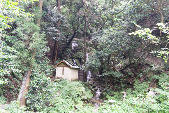 磐船神社近くの滝 202407034