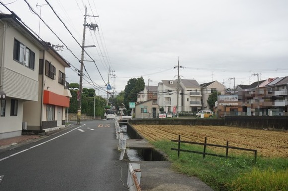 郡津 田んぼ-3