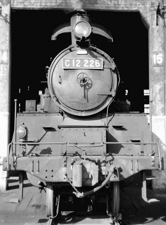 419719859_228467923665273_3705479982520029168_n