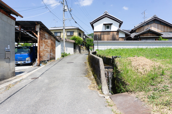 私市の用水路 202405211