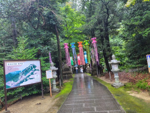 星田妙見宮 七夕祭り 20260705-6
