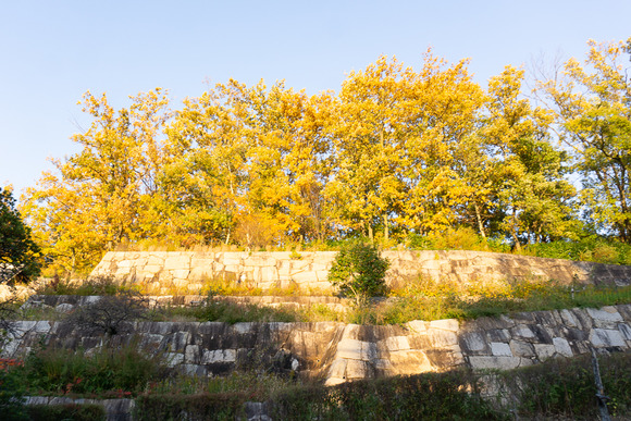 星田公園 20241130-2