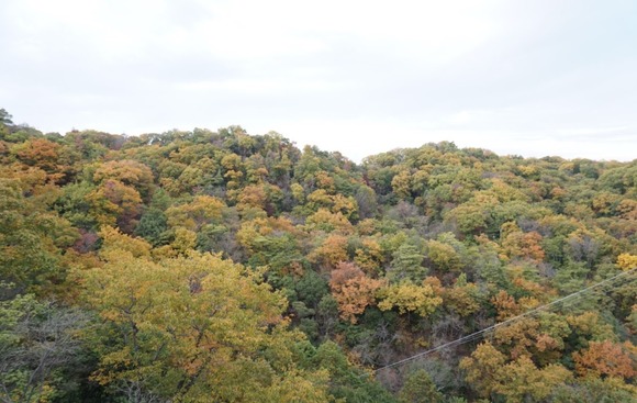 星のブランコ 20251124-11