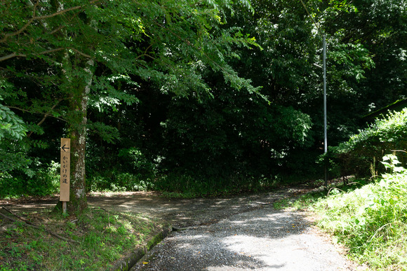 龍王山 2024062110-2