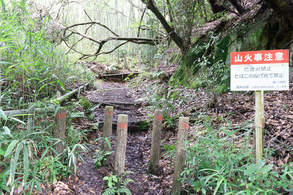 龍王山 2024062122