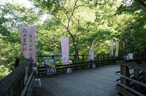 ほしだ園地 20260506-5