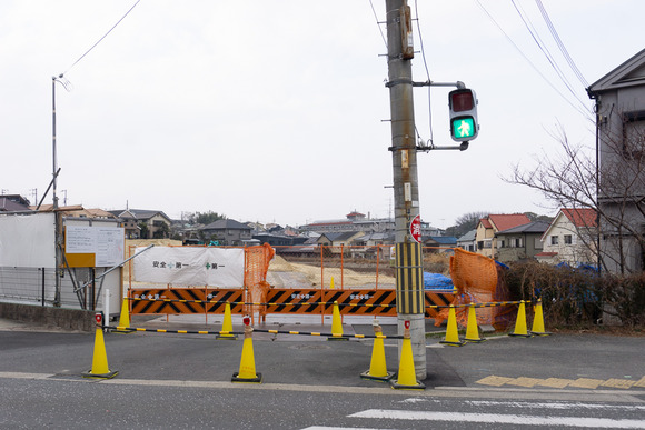 全権堂池 20250131-1