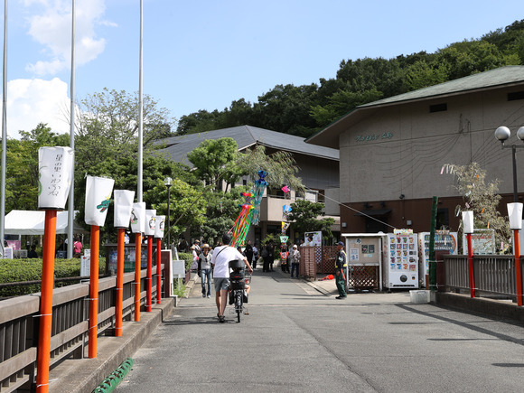 7a69592d-s