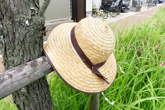 森南の麦わら帽子 202406242