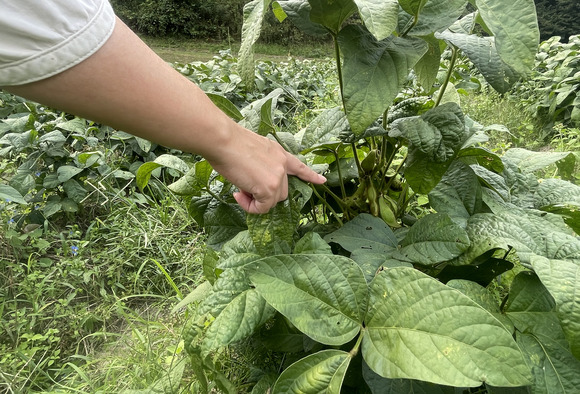 2021-10-06_13-21-56_786