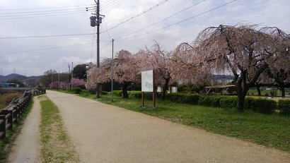 17883703_1391389577592553_56986053607935758_n